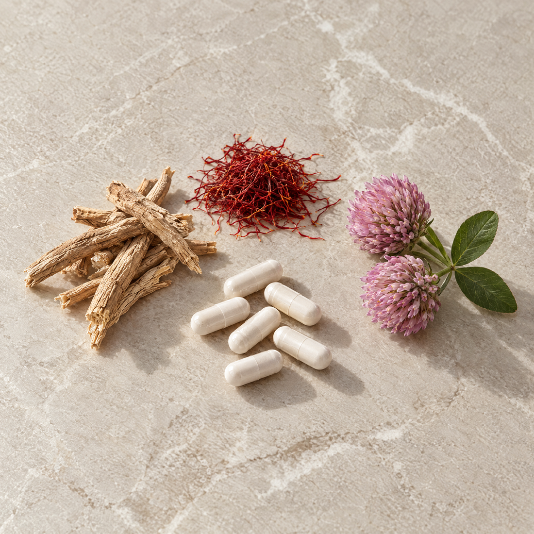 Ashwagandha-Wurzel, Safranfäden und Rotkleeblüten neben weißen Kapseln auf hellem Naturstein